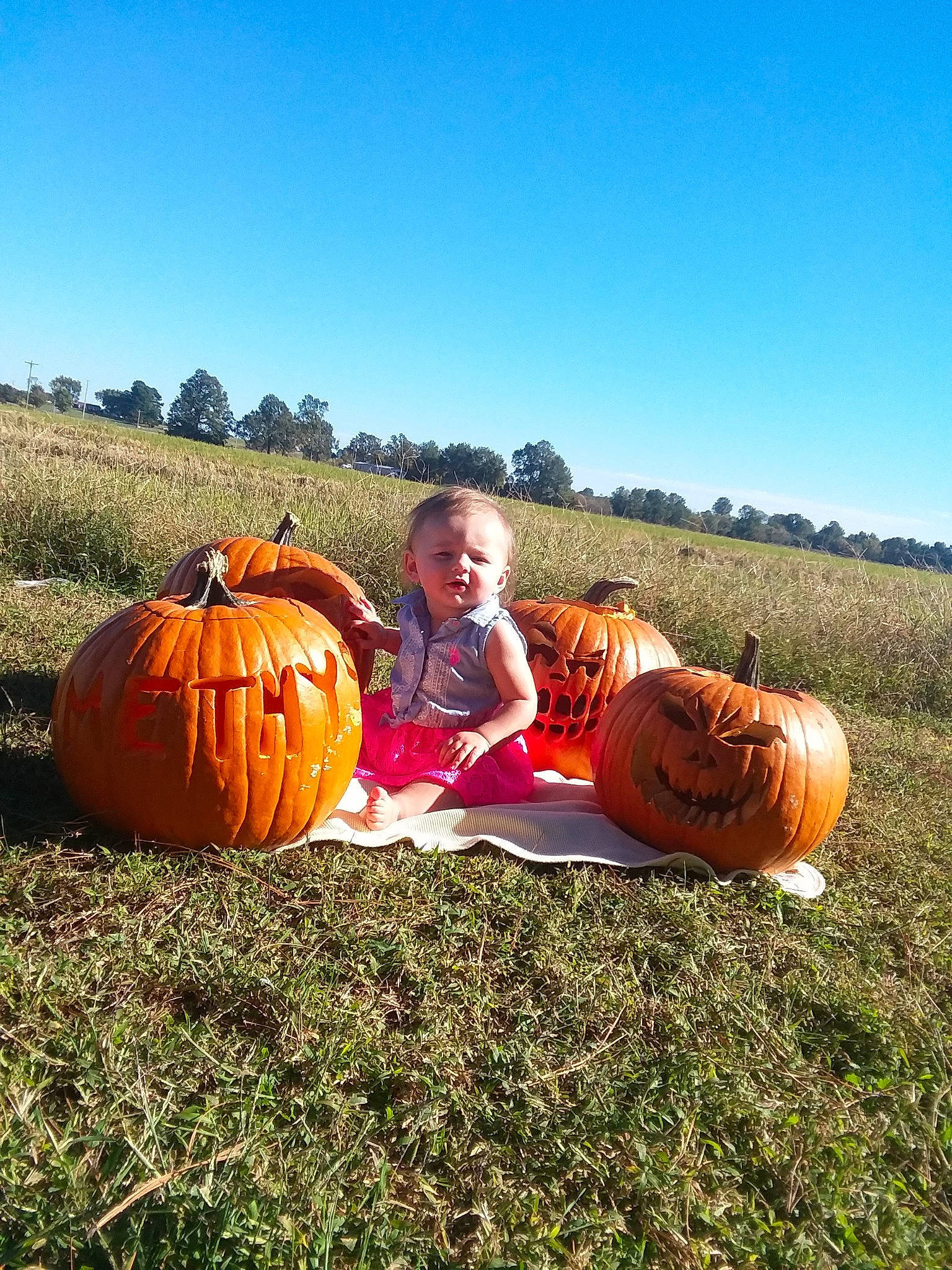 Amethyst joined the competition — help win amazing prizes! _and_melon_family, _gourd, calabaza, cucumber, cucurbita, farm, fruit, gourd, grass, harvest, hay, person, plant, pumpkin, sky, vegetable, winter_squash