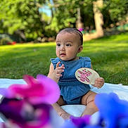 Eliana is registered to the contest to win money with this photo: baby, blanket, blue_outfit, child, curious, cute, daylight, eight_months, flowers, grass, greenery, nature, outdoor, pink, portrait, purple, sign, sitting, summer, young_child