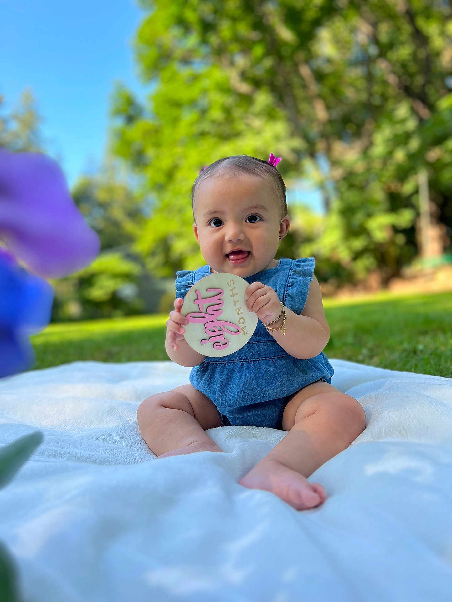 Eliana joined the competition — help win amazing prizes! baby, blanket, blue_dress, bracelet, child, cute, eight_months, flower, grass, greenery, happy, infant, nature, outdoor, park, portrait, sign, sitting, smiling, sunlight