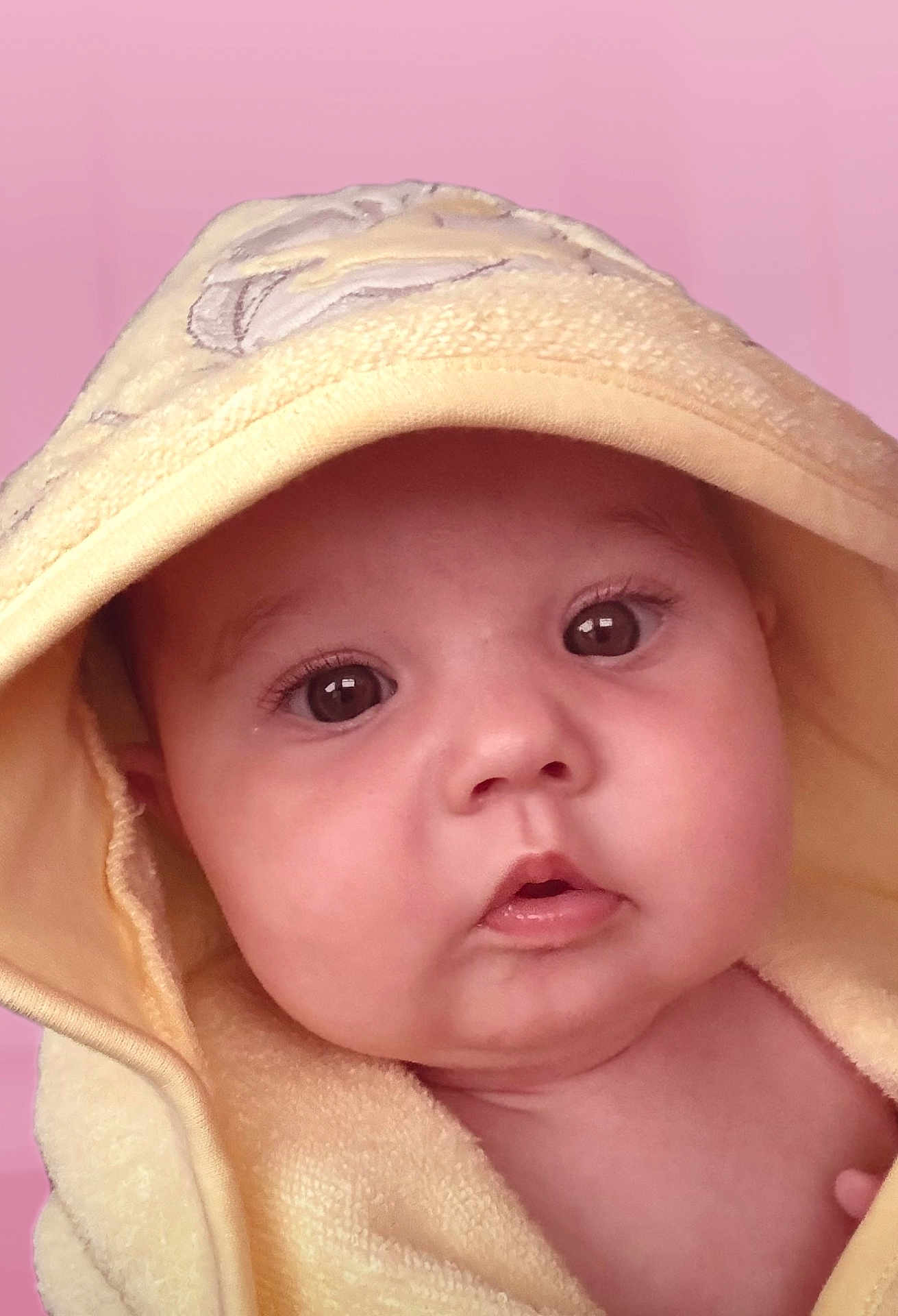 Lottie joined the competition — help win amazing prizes! baby, infant, face, hood, yellow_towel, soft_texture, close_up, portrait, curious, cute, skin, eyes, mouth, pink_background, child, newborn, expression, warmth, indoors, wrapped