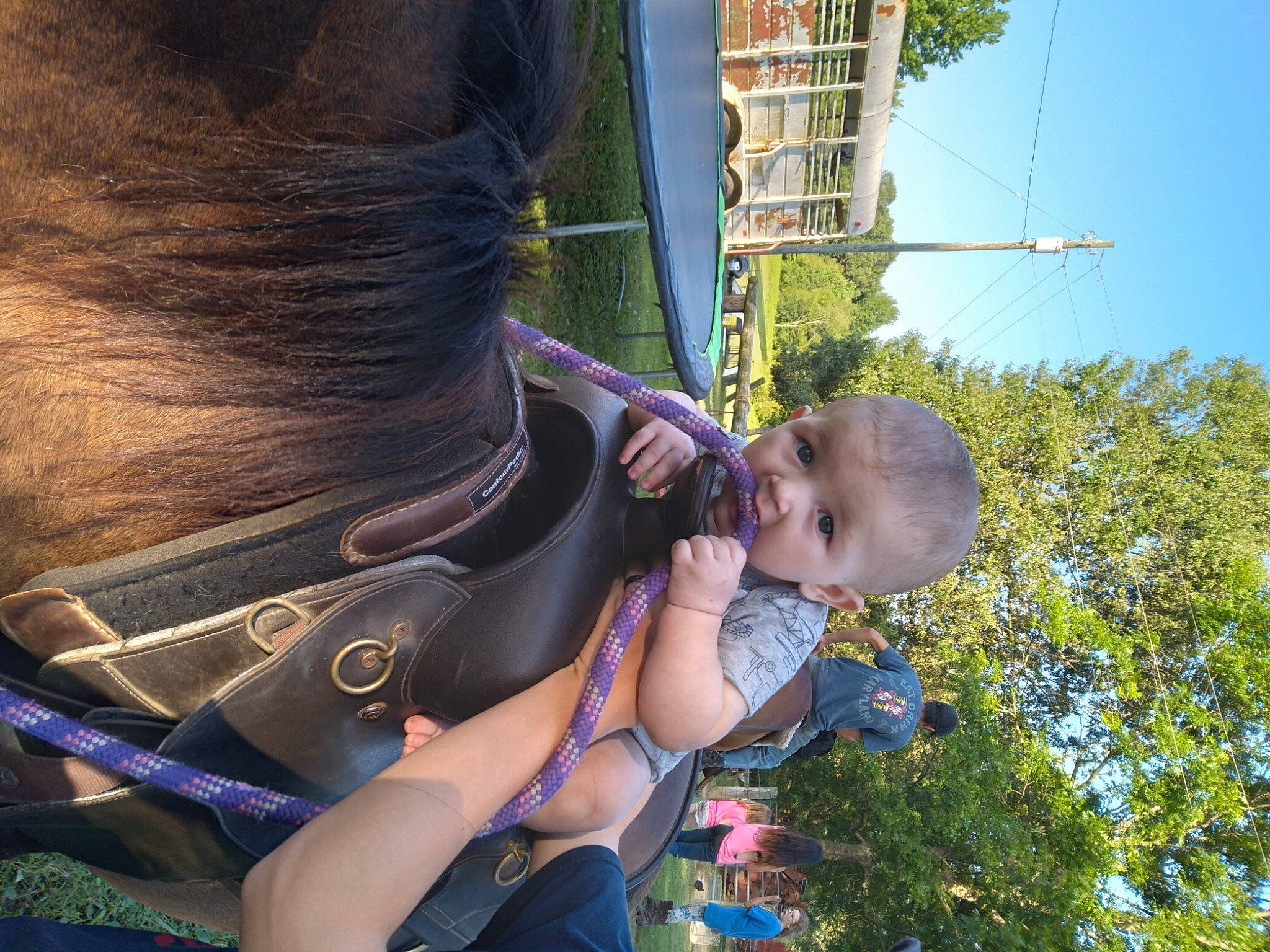 Konnor joined the competition — help win amazing prizes! bridle, child, ear, eye, fawn, fun, grass, horse, horse_supplies, horse_tack, livestock, person, plant, smile, summer, toddler, tree, vacation
