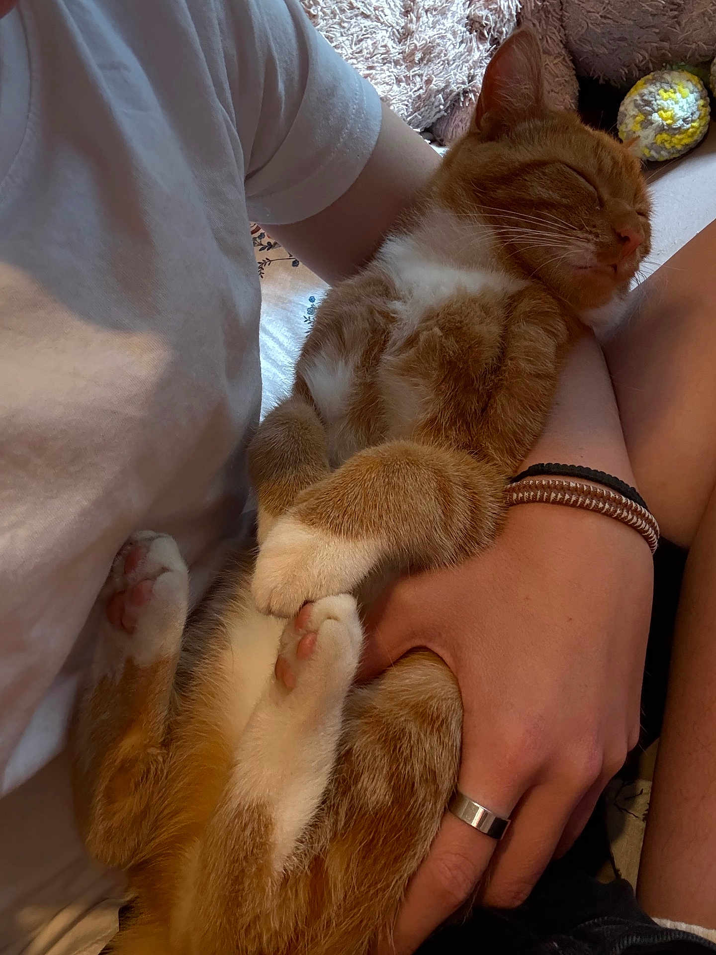 Arlo