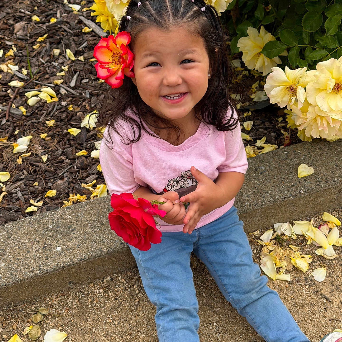 Kelanah joined the competition — help win amazing prizes! child, girl, smiling, flower, rose, yellow_roses, braided_hair, pink_shirt, blue_jeans, sneakers, outdoor, garden, petals, soil, concrete_edge, green_leaves, happy, sitting, nature, portrait