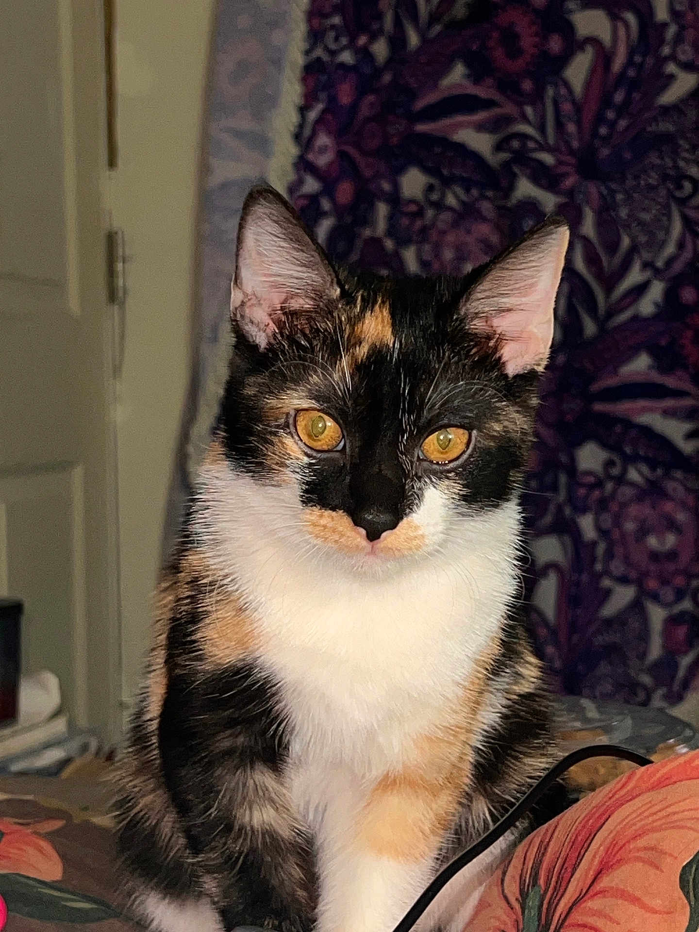 Peaches