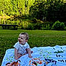 baby, child, grass, blanket, smile, outdoor, nature, lake, trees, reflection, greenery, sunlight, infant, happy, summer, park, sitting, cute, portrait, scenic