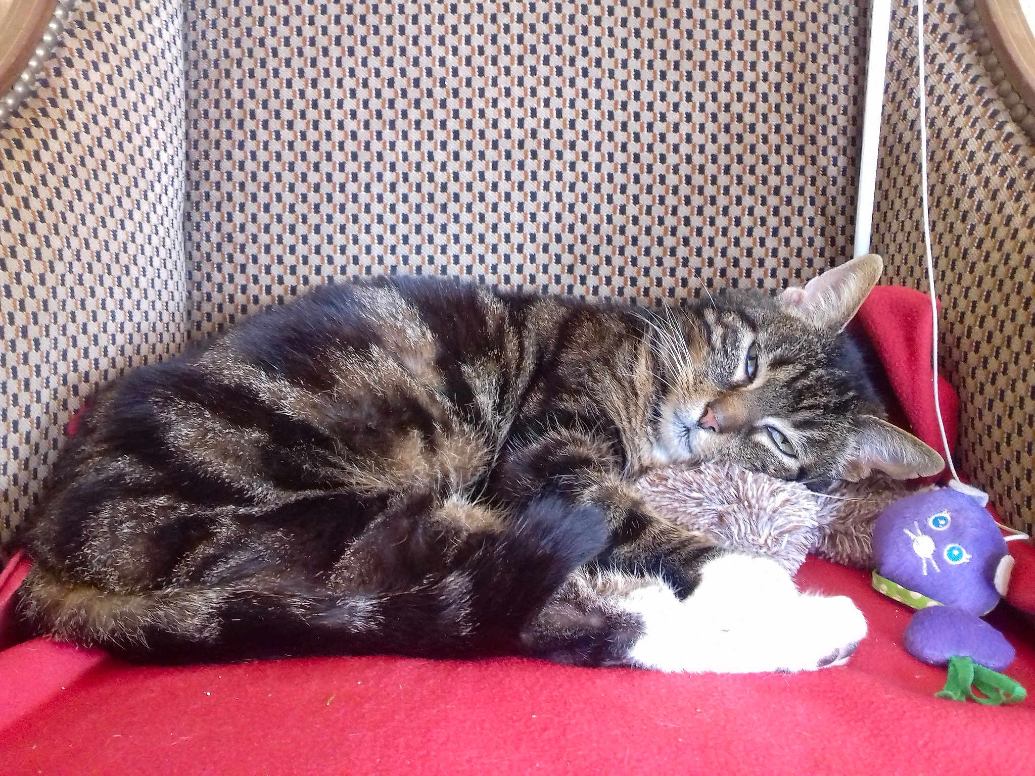 Gaspard