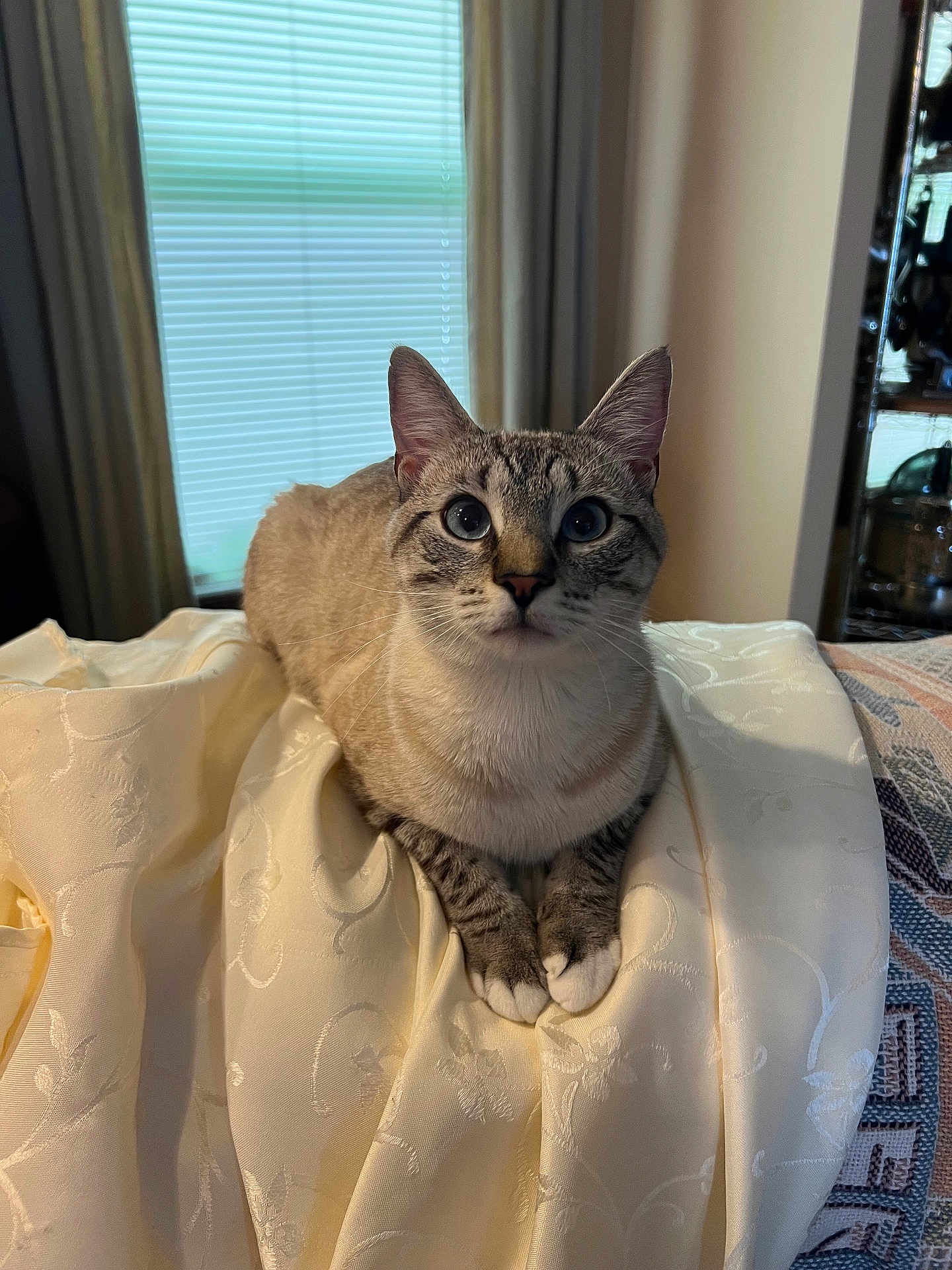Moochie