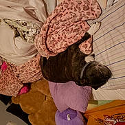 Willy is registered to the contest to win money with this photo: art, bag, costume_design, fashion_accessory, fashion_design, flesh, fur, headgear, headpiece, linens, magenta, pattern, peach, personal_protective_equipment, petal, pink, room, textile, visual_arts, wood