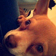 Keiko participe au concours pour gagner de l'argent avec cette photo :