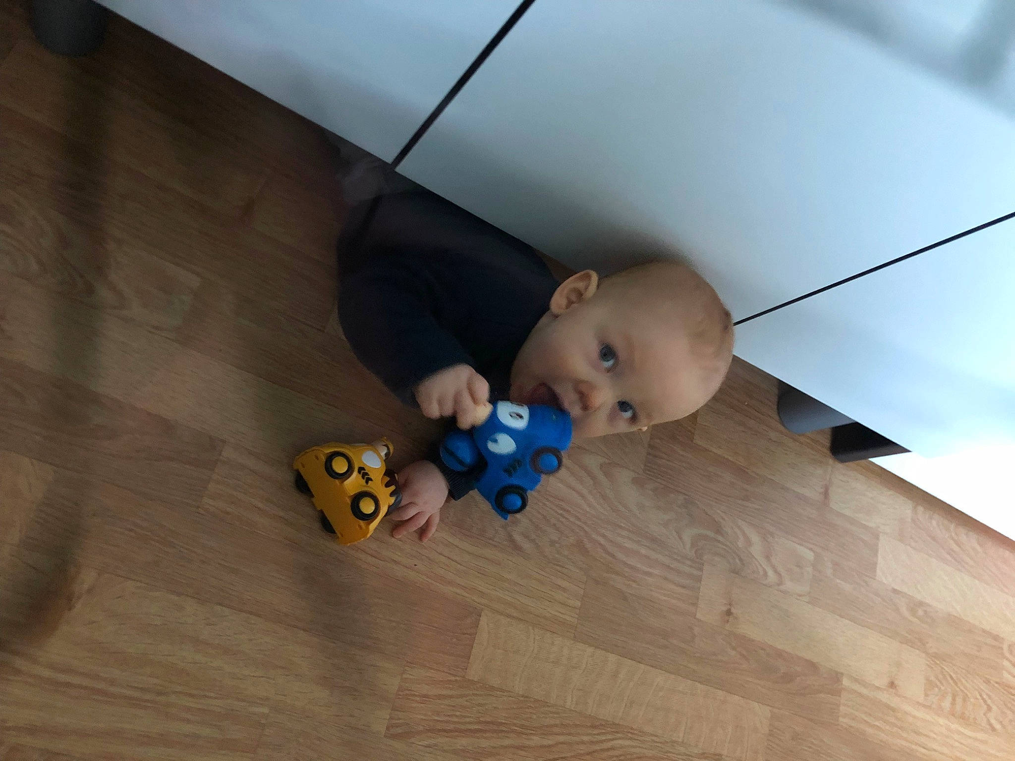 Tyméo a rejoint le concours — aidez-le/la à gagner de superbes lots ! baby, baby_products, baby_toys, ceiling, child, floor, flooring, fun, hardwood, indoor_games_and_sports, laminate_flooring, mammal, person, plastic, plywood, recreation, room, stuffed_toy, surprise, toy