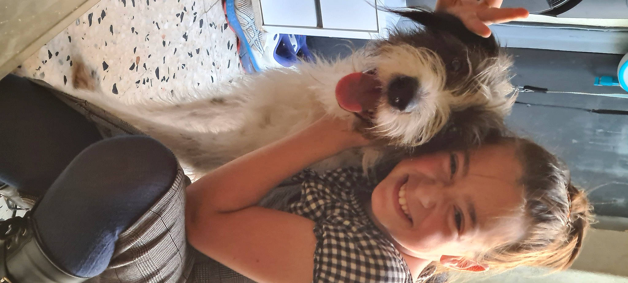 Océane participe au concours pour gagner de l'argent avec cette photo : canidae, carnivore, child, companion_dog, dog, dog_breed, ear, eyelash, fawn, fur, happy, iris, joy, nose, person, small_terrier, smile, snout, sporting_group, sunglasses