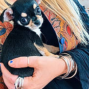 Jodie participe au concours pour gagner de l'argent avec cette photo : animal, black_dog, blonde_hair, bracelets, close_up, colorful_clothing, cute, dog, hand, holding, indoors, long_hair, patterned_clothing, person, pet, portrait, puppy, rings, small_dog, tan_markings