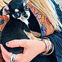 animal, black_dog, blonde_hair, bracelets, close_up, colorful_clothing, cute, dog, hand, holding, indoors, long_hair, patterned_clothing, person, pet, portrait, puppy, rings, small_dog, tan_markings