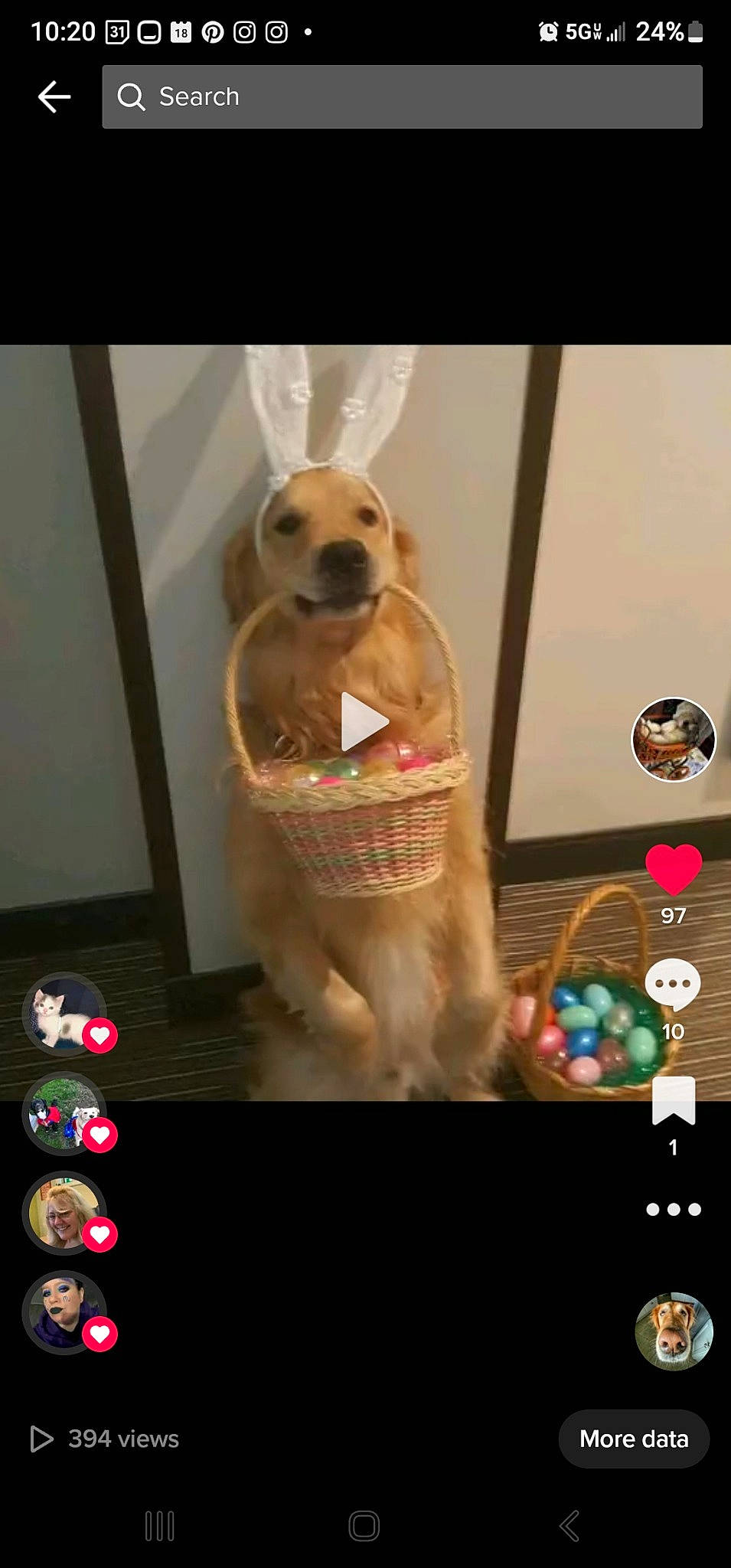 Cola joined the competition — help win amazing prizes! canidae, carnivore, collar, companion_dog, display_device, dog, dog_breed, dog_supply, eyewear, fawn, font, gun_dog, multimedia, paw, pet_supply, photo_caption, screenshot, snout, sporting_group, working_animal