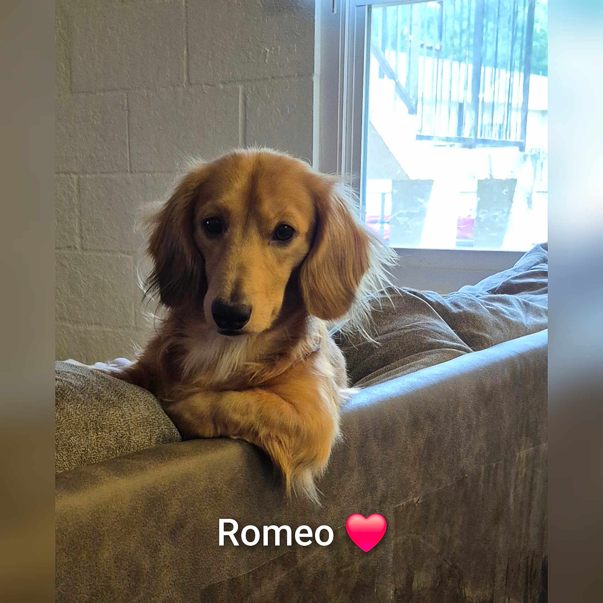 Romeo