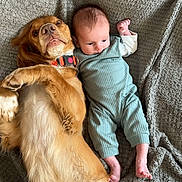 George is registered to the contest to win money with this photo: baby, dog, golden_retriever, blanket, laying_down, cute, pet, infant, animal, friendship, cozy, indoors, relaxed, soft_texture, companion, sleepwear, child, portrait, animal_care, bond