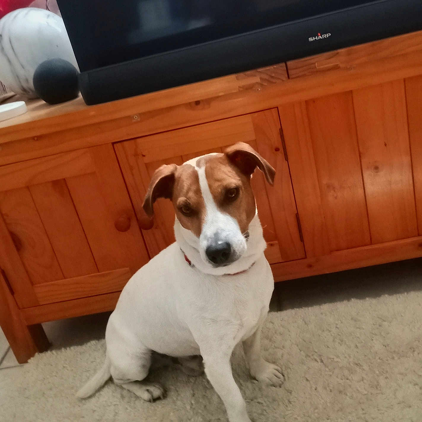 Paco
