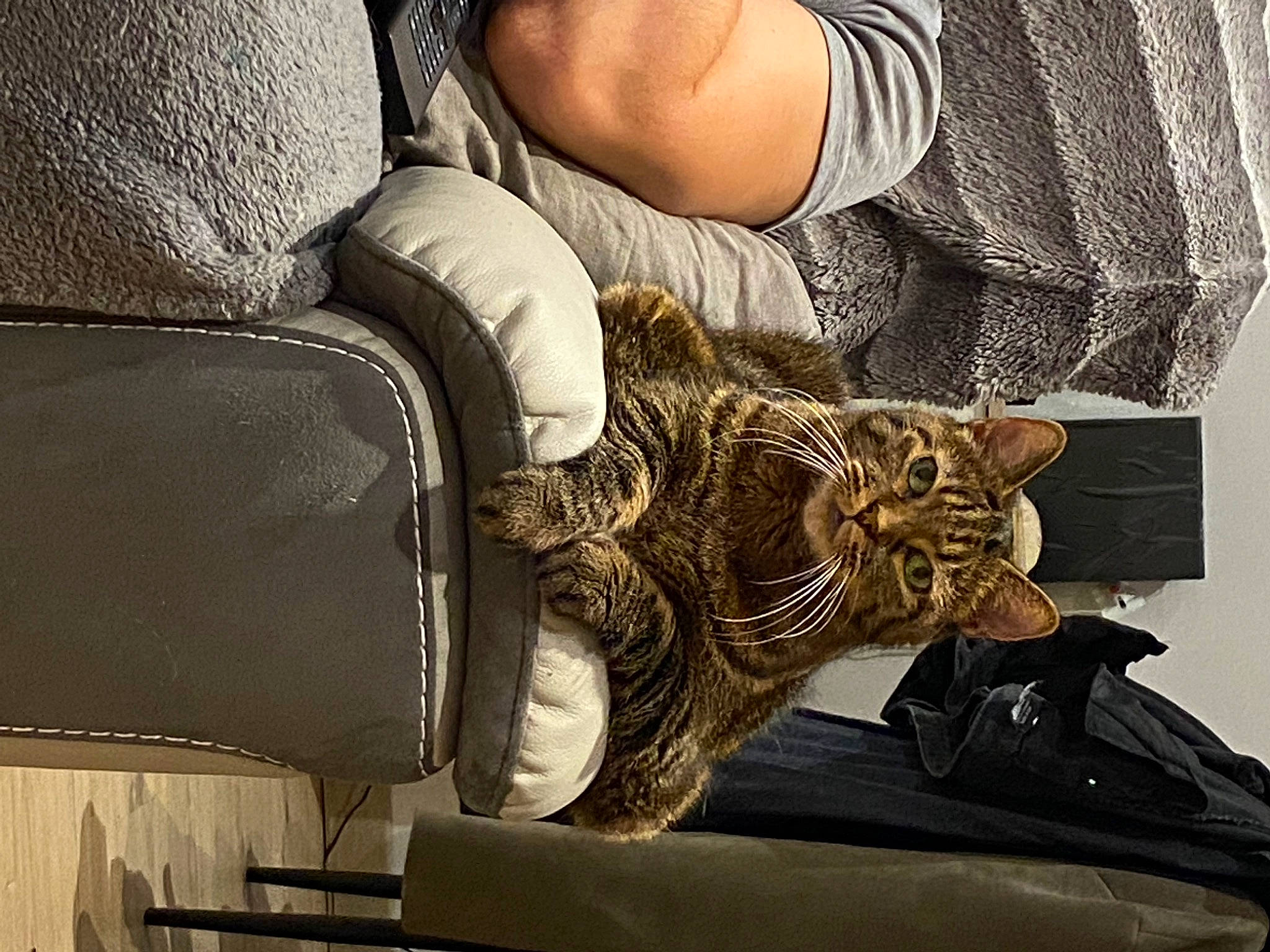 Kalinka participe au concours pour gagner de l'argent avec cette photo : arm, comfort, denim, elbow, eyewear, fashion_accessory, fashion_design, gesture, hand, human_body, human_leg, leg, metal, pattern, personal_protective_equipment, sleeve, thigh, waist, wood, wrist