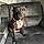 Mable