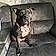 Mable