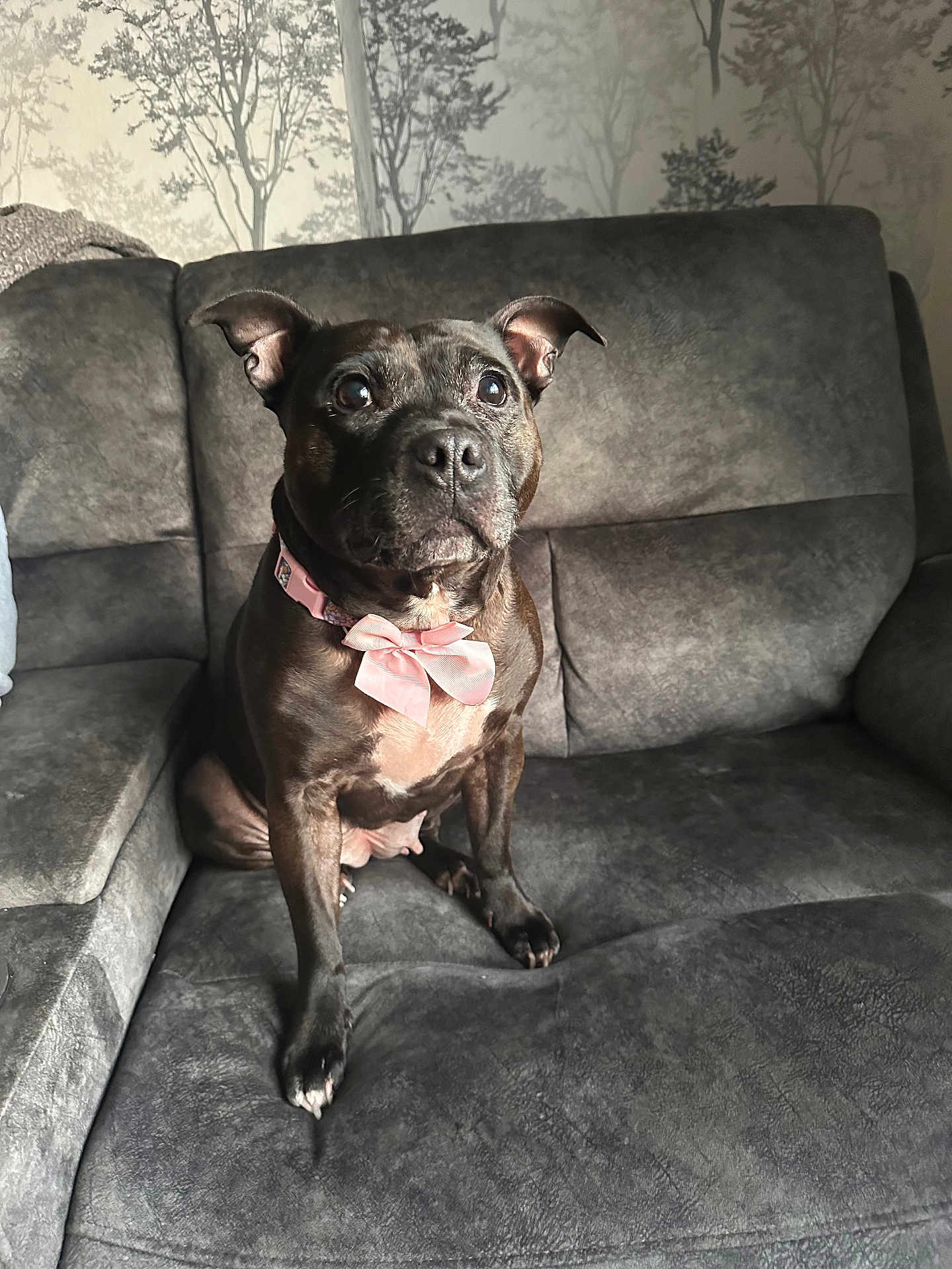 Mable