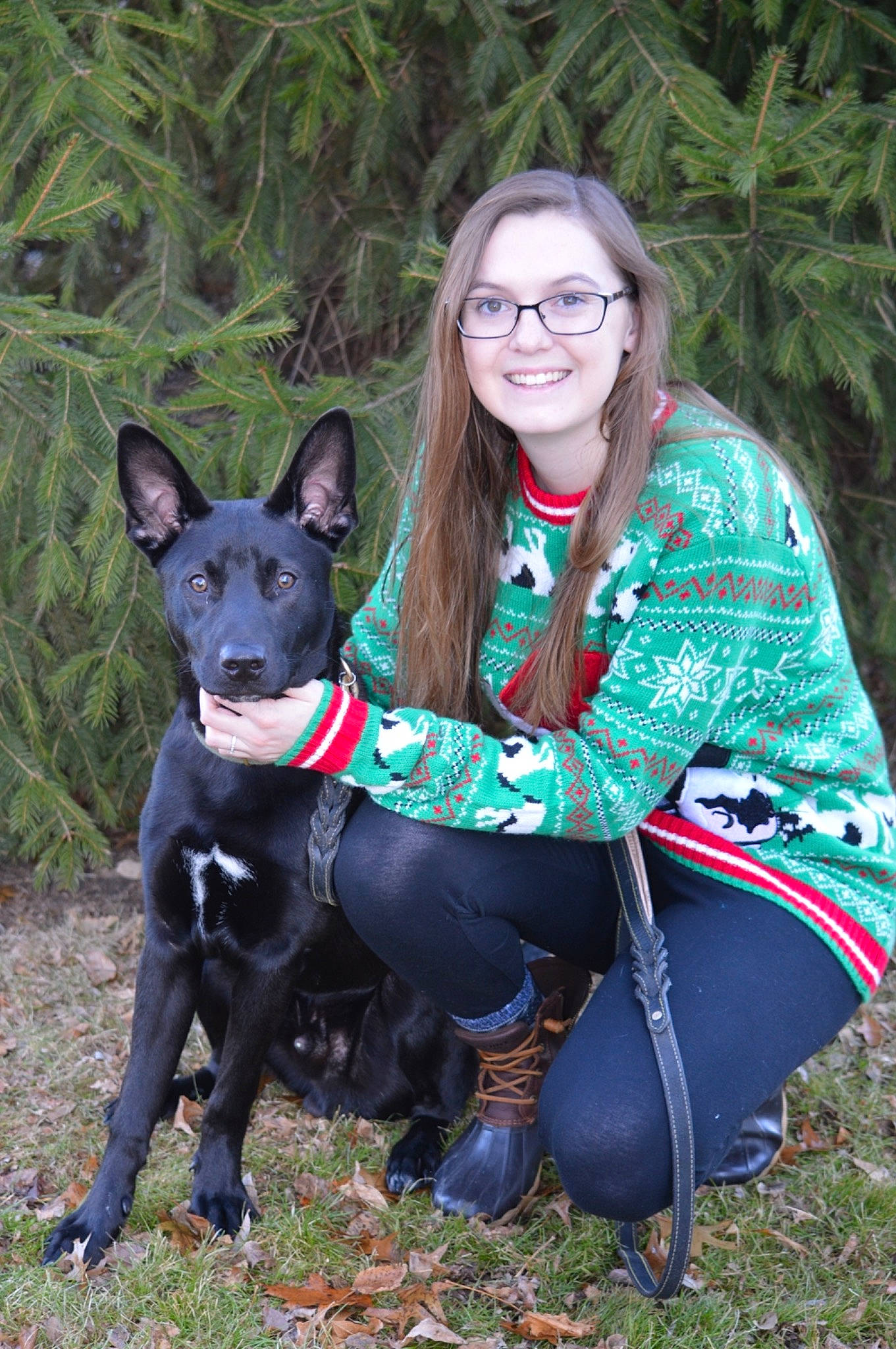 Havoc joined the competition — help win amazing prizes! australian_kelpie, canidae, carnivore, companion_dog, dog, dog_breed, formosan_mountain_dog, mammal, schipperke, thai_ridgeback, vertebrate