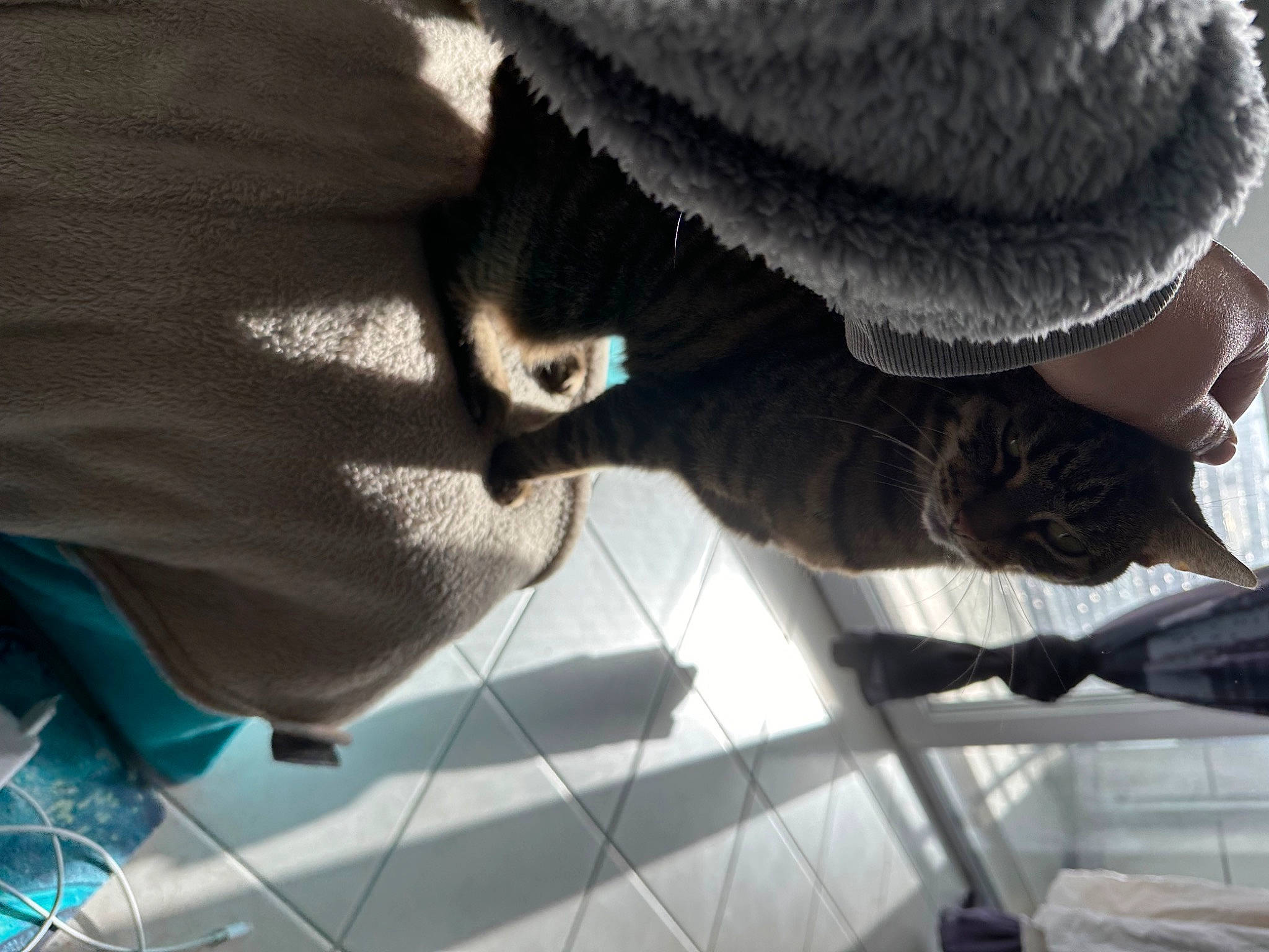 Plume participe au concours pour gagner de l'argent avec cette photo : beanie, beard, black_hair, cap, comfort, cool, freezing, fun, fur, gesture, knit_cap, pattern, room, sitting, tints_and_shades, tree, winter, wool