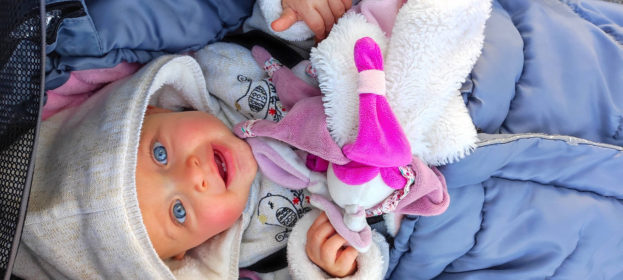 Anastasia a rejoint le concours — aidez-le/la à gagner de superbes lots ! baby, cheek, comfort, eye, eyelash, happy, headwear, human_body, jacket, lip, nose, person, pink, plant, purple, red, skin, smile, textile, toddler