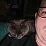 Onix participe au concours pour gagner de l'argent avec cette photo : animal, black_shirt, cat, close_up, companion, cozy, dim_light, domestic, face_partial, feline, glasses, gray_cat, human, indoor, person, pet, relaxed, resting, shoulder, sleepy