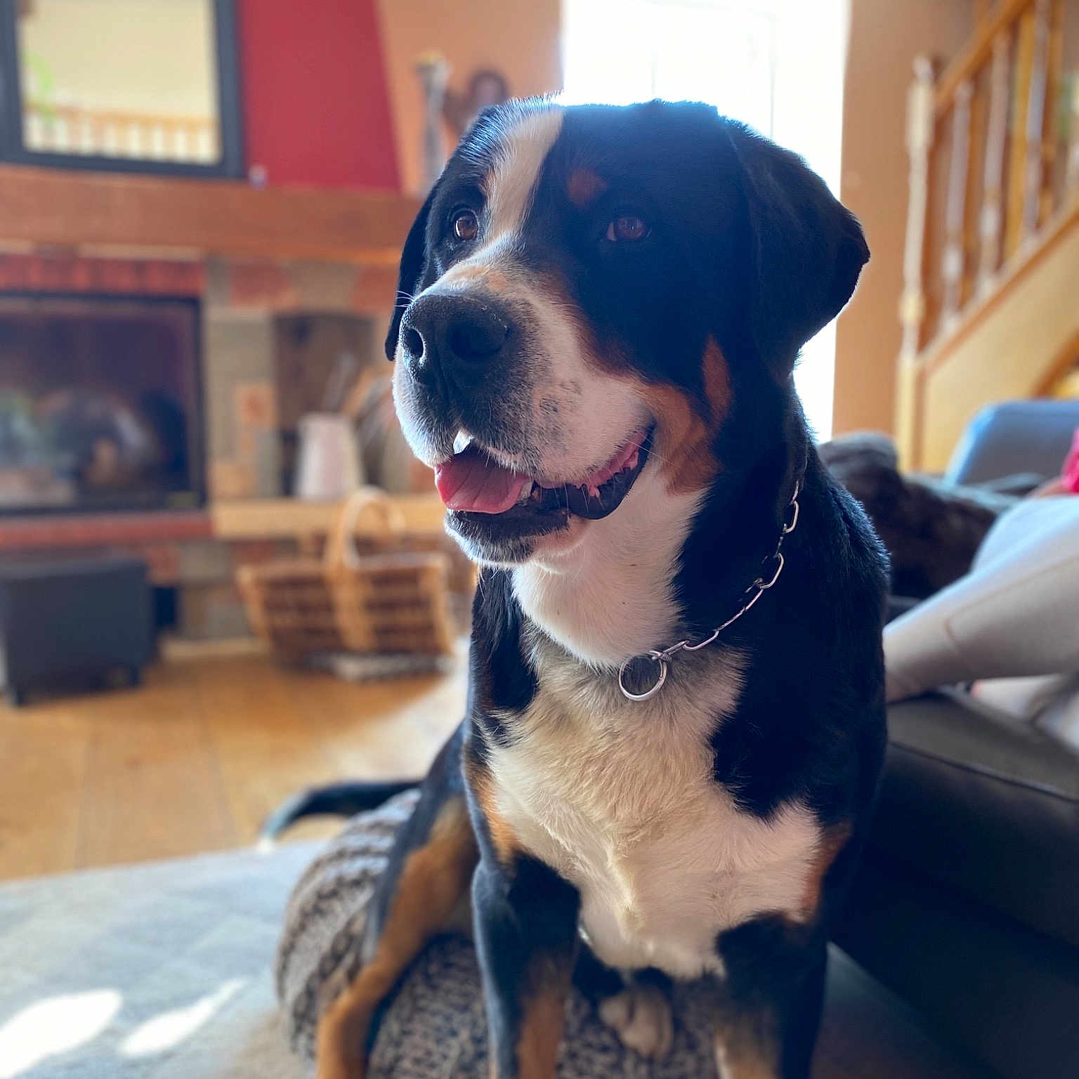 Otis