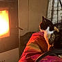 cat, calico_cat, fireplace, fire, cushion, warmth, indoor, cozy, feline, resting, animal, pet, comfort, orange_light, rustic, brick_wall, metal_chair, home, relaxation, evening