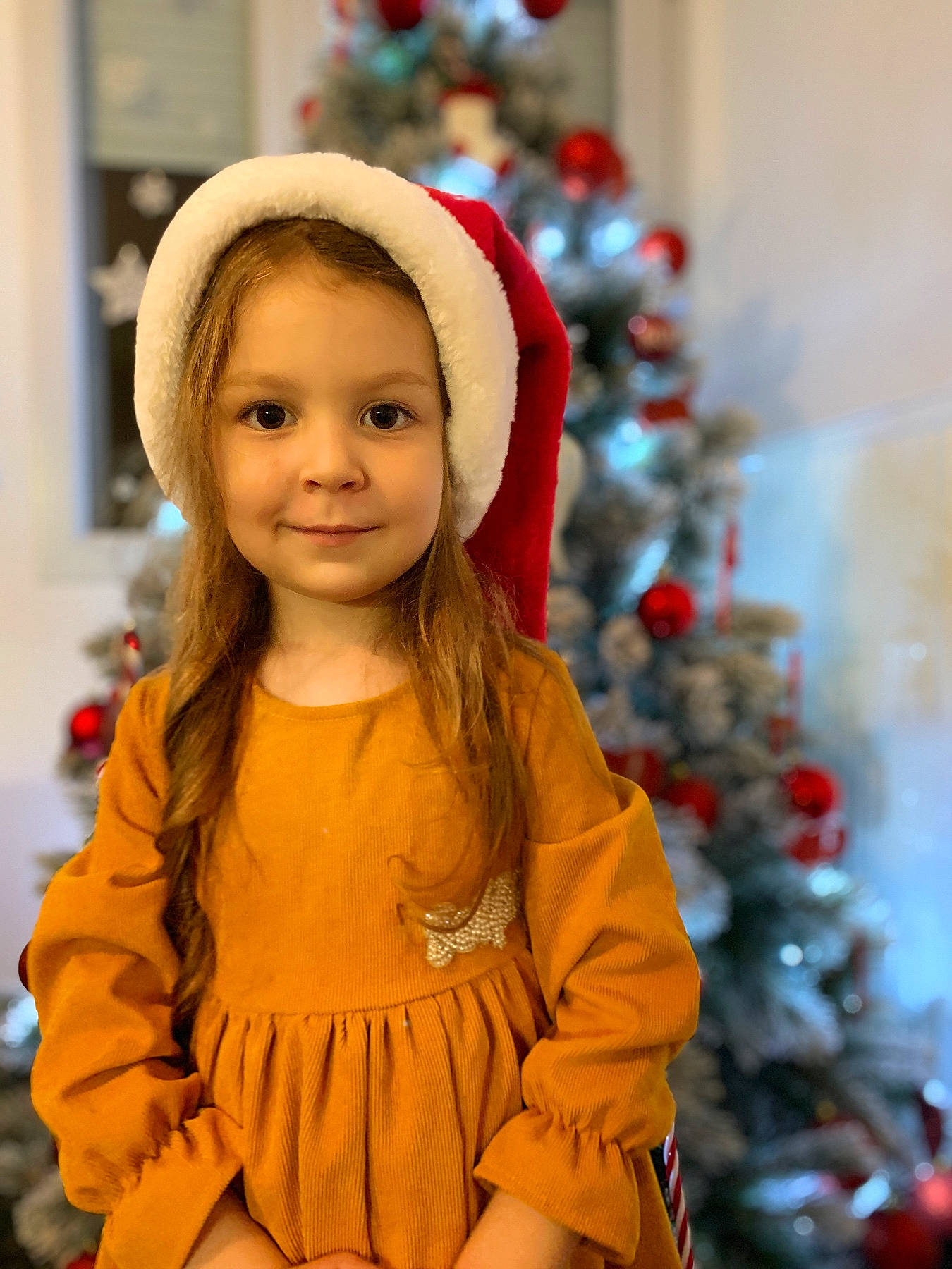 Khfds a rejoint le concours — aidez-le/la à gagner de superbes lots ! christmas, christmas_ornament, christmas_tree, dress, event, happy, headgear, holiday, human_body, iris, joy, organ, ornament, person, plant, sleeve, smile, snapshot, standing, toddler