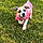 Sandie