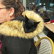 Kookie a rejoint le concours — aidez-le/la à gagner de superbes lots ! black_cat, cat, sleeping_cat, fur_hood, jacket, woman, glasses, hair_tie, leopard_print, indoor, cafe, chair, table, reflection, night, coat, fur_trim, pet, resting, casual