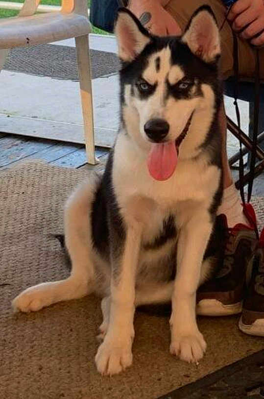 Titus