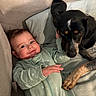 baby, infant, dog, pet, couch, pillow, cozy, smiling, cute, child, animal, companion, relaxing, indoors, onesie, friendly, face, fur, hand, expression