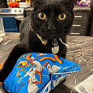 Cosmo joined the competition — help win amazing prizes! animal, black_cat, cat, close_up, collar, countertop, feline, funny, golden_eyes, groceries, indoors, kitchen, packaging, pet, portrait, sitting, snack_bag, tag, whiskers, wide_eyed