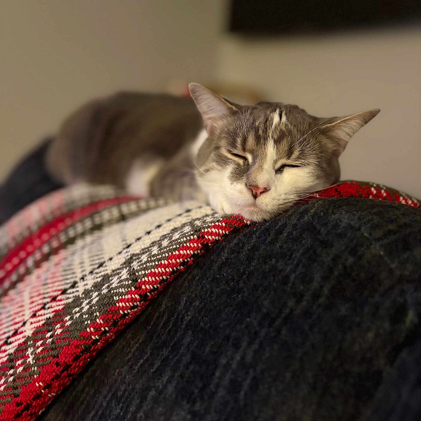 Milo