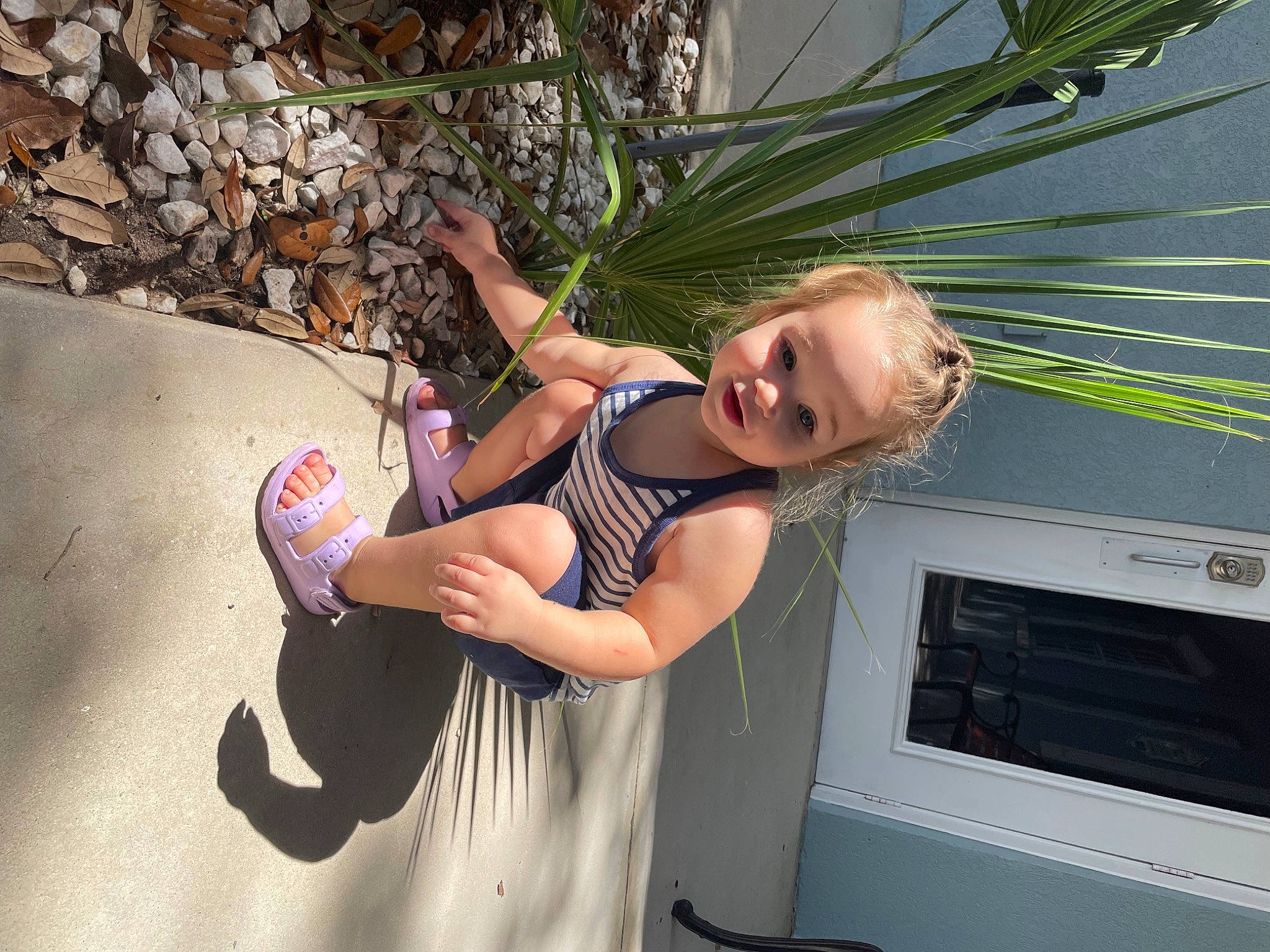 Lilliana joined the competition — help win amazing prizes! arecales, arm, child, face, flash_photography, fun, grass, happy, human_leg, leisure, palm_tree, person, plant, recreation, sandal, smile, sunglasses, thigh, toddler, tree