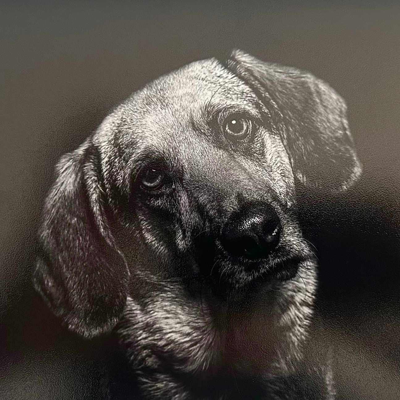 Ella