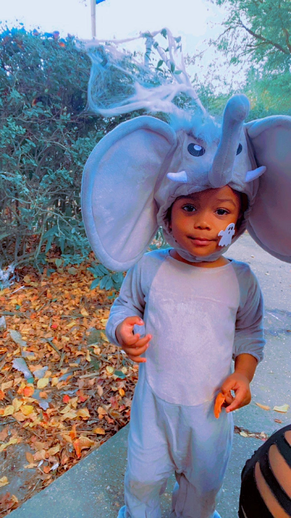 Kayleigh joined the competition — help win amazing prizes! child, costume, electric_blue, face, fashion_accessory, fictional_character, fun, grass, happy, hat, headwear, leaf, leisure, person, pink, recreation, sandal, t_shirt, toddler, tradition