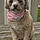 Mazie