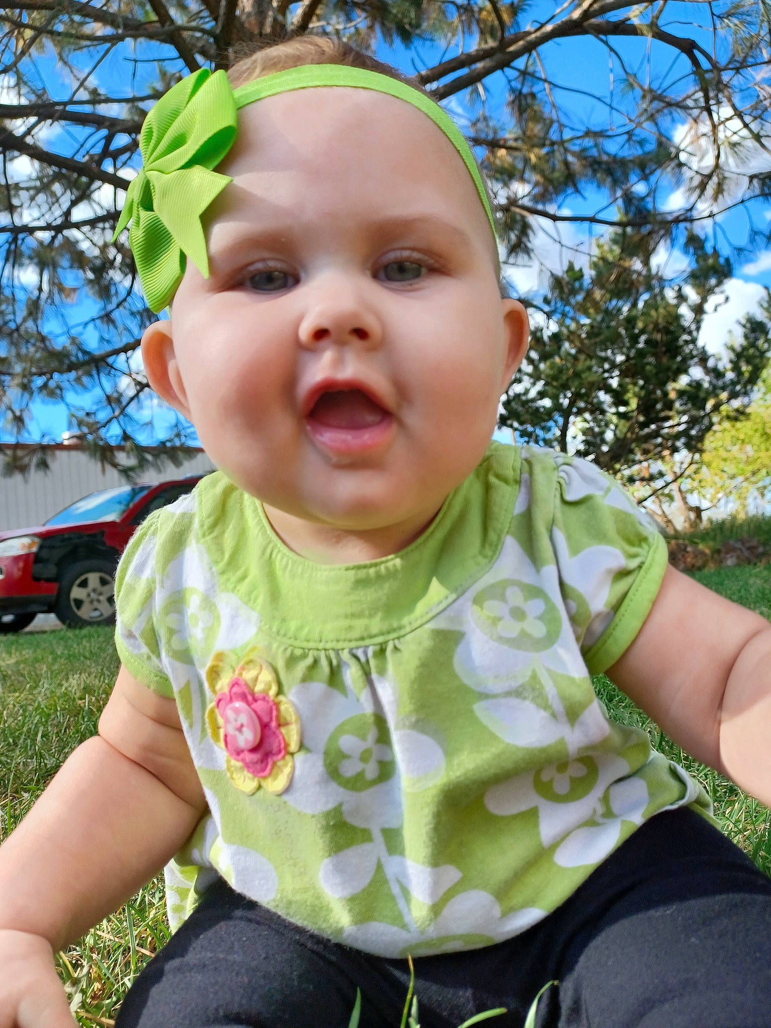Elayna is registered to the contest to win money with this photo: baby_toddler_clothing, cheek, chin, eye, face, grass, hairstyle, happy, head, iris, leaf, lip, nose, person, pink, plant, skin, sleeve, sunlight, tire