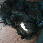 Zara participe au concours pour gagner de l'argent avec cette photo :
