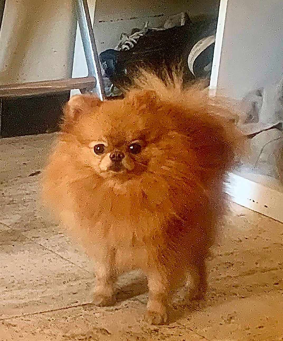 Mia