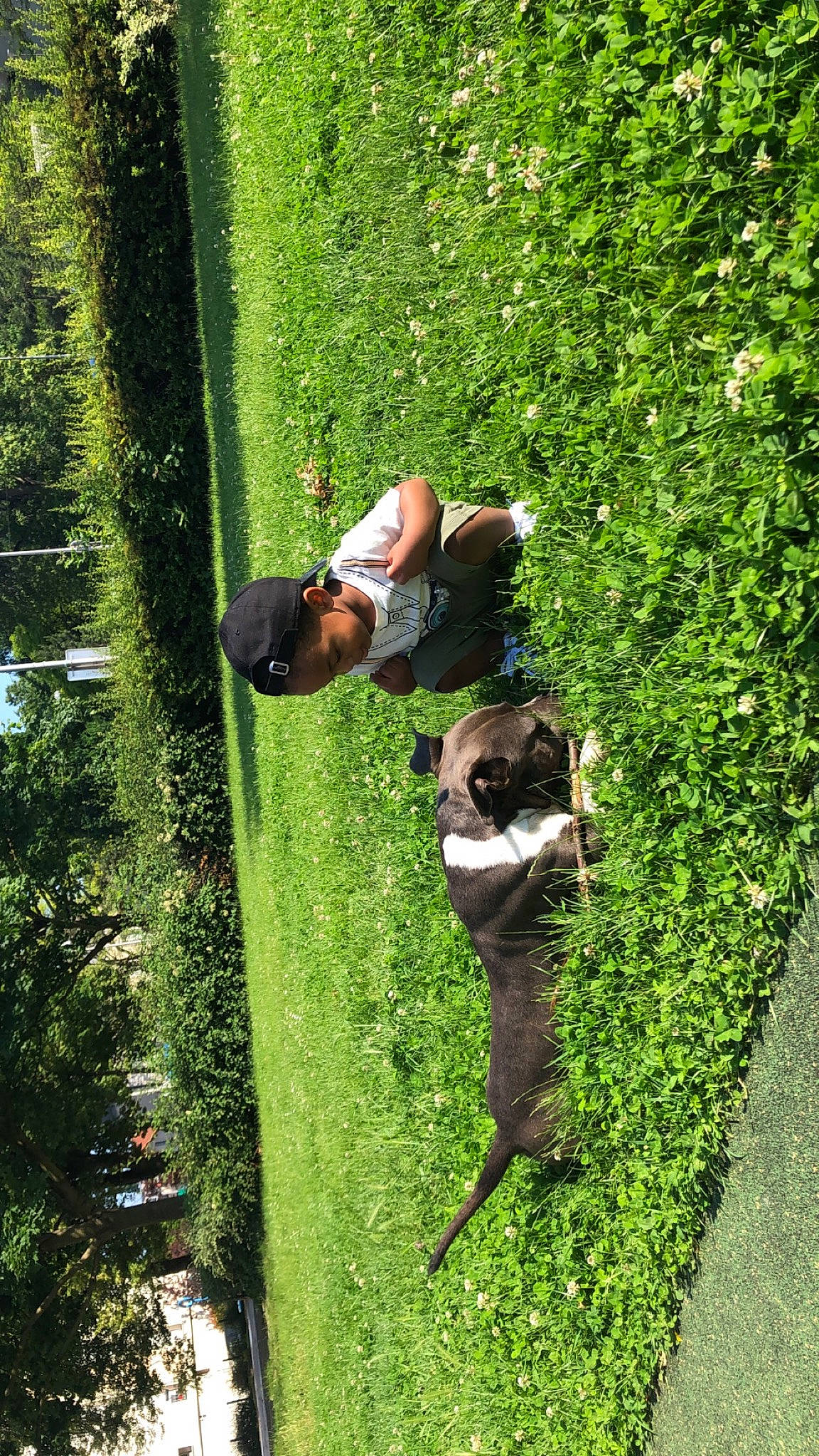 Kimbo a rejoint le concours — aidez-le/la à gagner de superbes lots ! backyard, fun, garden, grass, grass_family, grassland, green, groundcover, hedge, landscape, lawn, leisure, people_in_nature, plant, recreation, shrub, sunglasses, terrestrial_plant, tree, yard