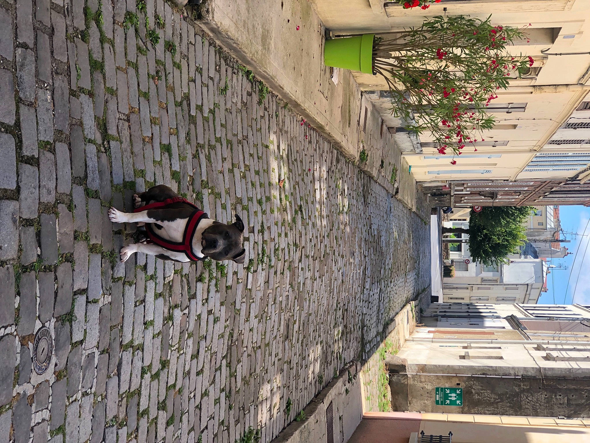 Kimbo a rejoint le concours — aidez-le/la à gagner de superbes lots ! architecture, brick, brickwork, building, city, concrete, facade, flooring, house, human_settlement, line, neighbourhood, plant, road, sidewalk, tree, urban_design, wall, window, wood