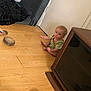 Gia joined the competition — help win amazing prizes! baby, clothing, computerhardware, electronics, face, footwear, hardware, hardwood, head, monitor, person, photography, plant, portrait, pottedplant, screen, shoe, sitting, tv, wood