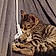 Zazou