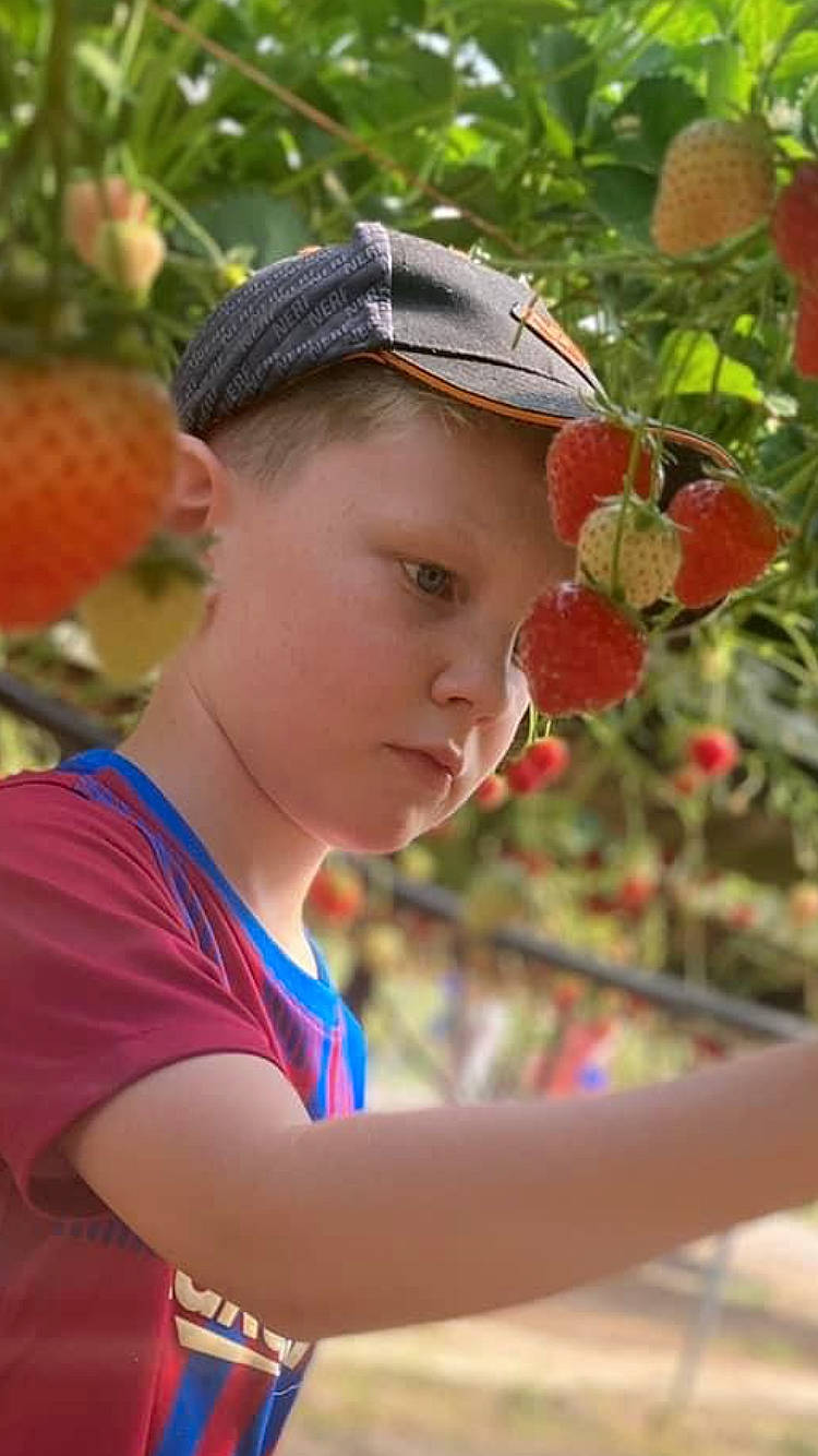 Rogan joined the competition — help win amazing prizes! botany, cap, child, electric_blue, event, fashion_accessory, flower, fruit, fun, happy, leisure, orange, people, person, petal, plant, recreation, summer, t_shirt, toddler